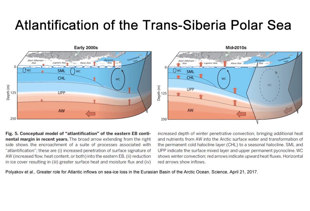 Atlantification of the Trans Siberian Polar Sea
