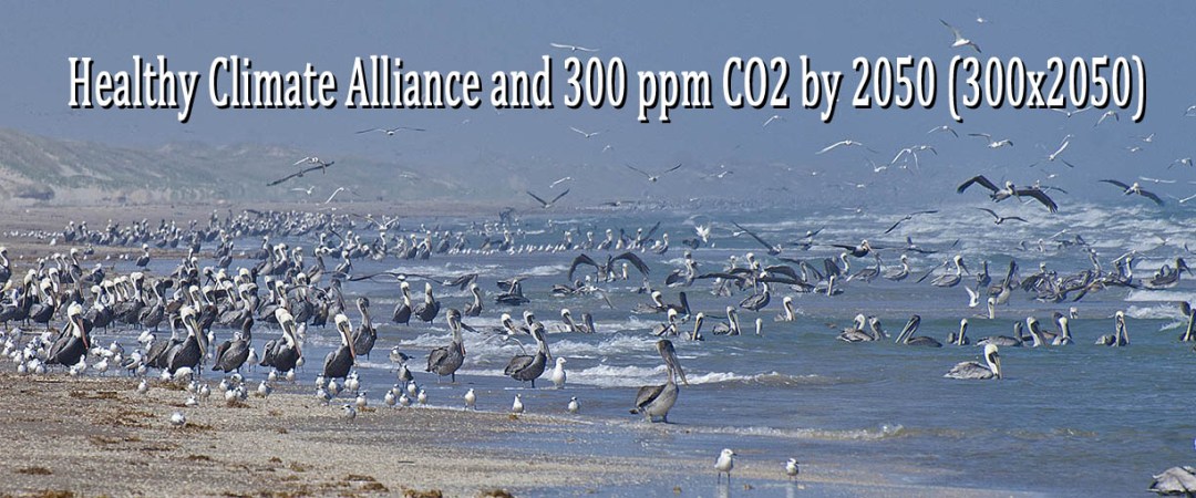 Healthy Climate Alliance and 300 ppm CO2 by 2050 (300×2050)