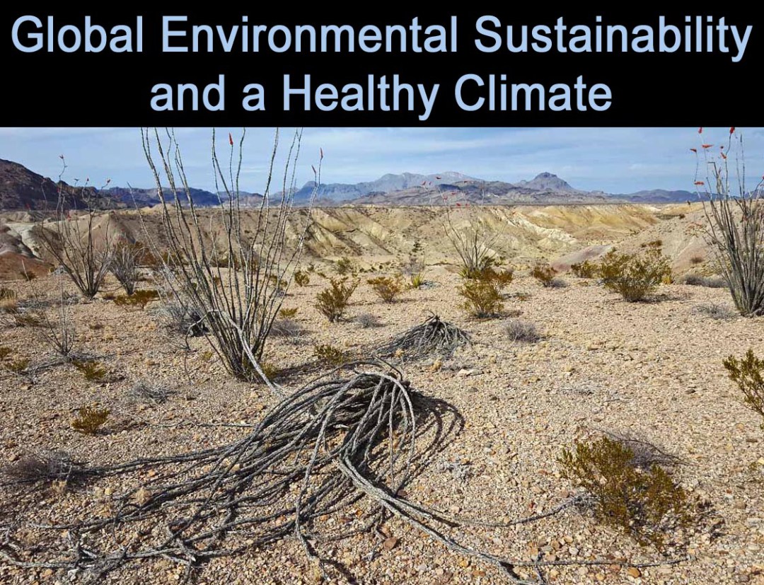 Global Environmental Sustainability and a Healthy Climate: Climate Policy 2.0