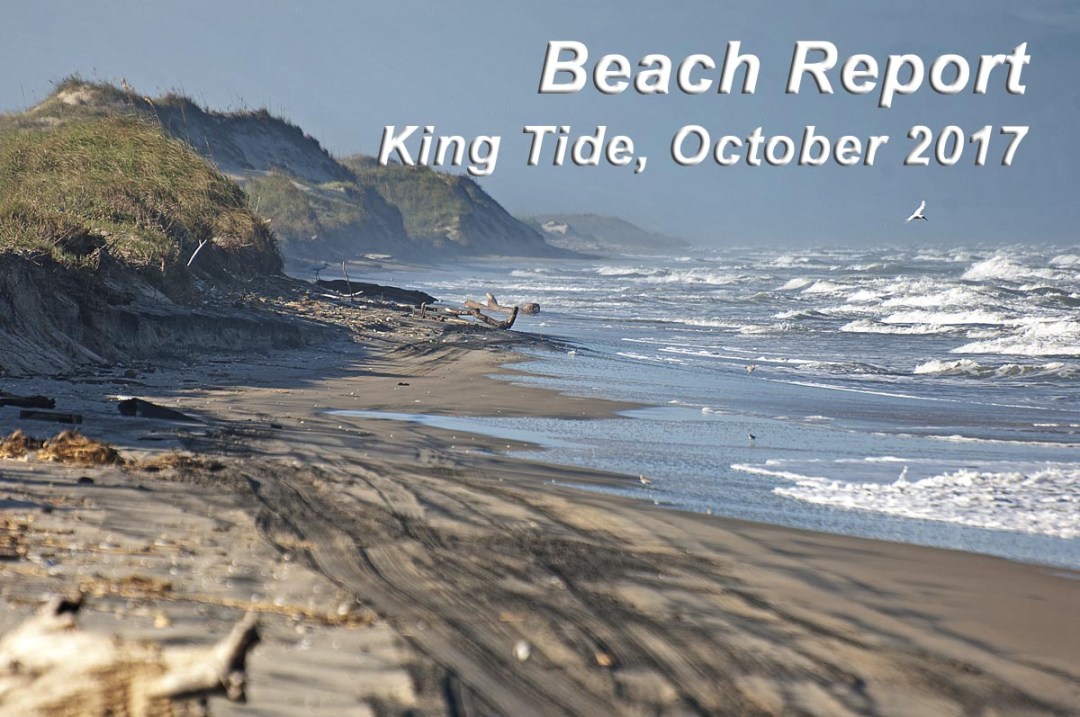 Beach Report: King Tide 2017 — Like Never Before