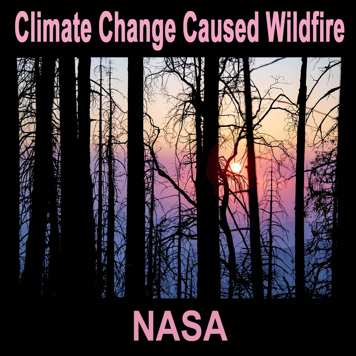 Increasing Wildfire Caused by Climate Change – NASA Uses Professional Judgement