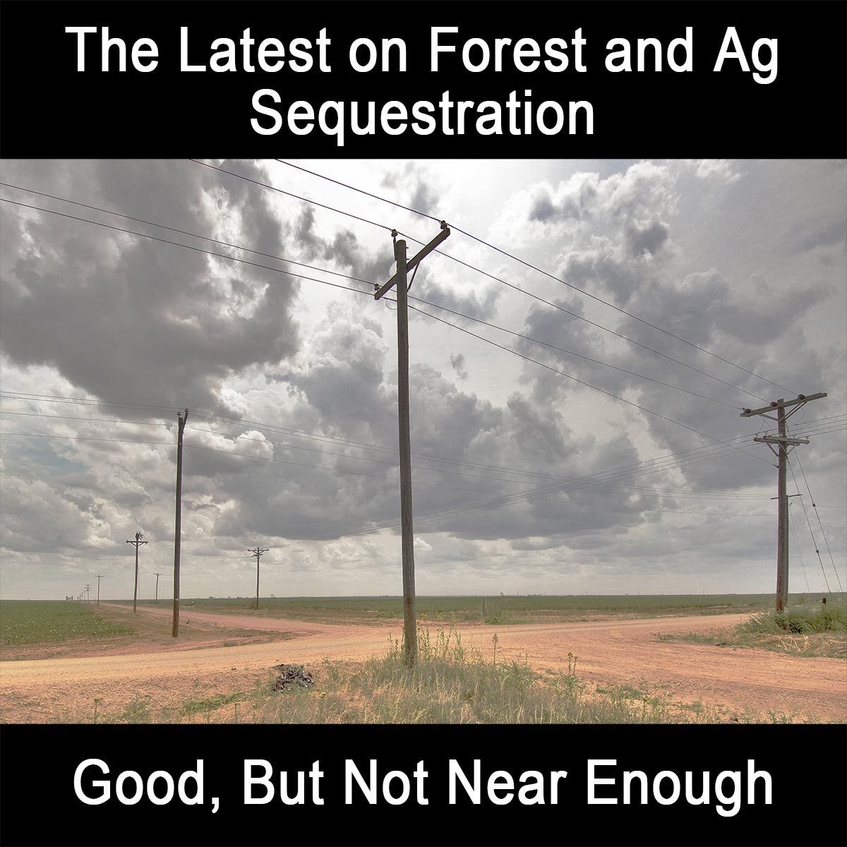 The Latest on Forest and Ag Sequestration – Good, But Not Near Enough