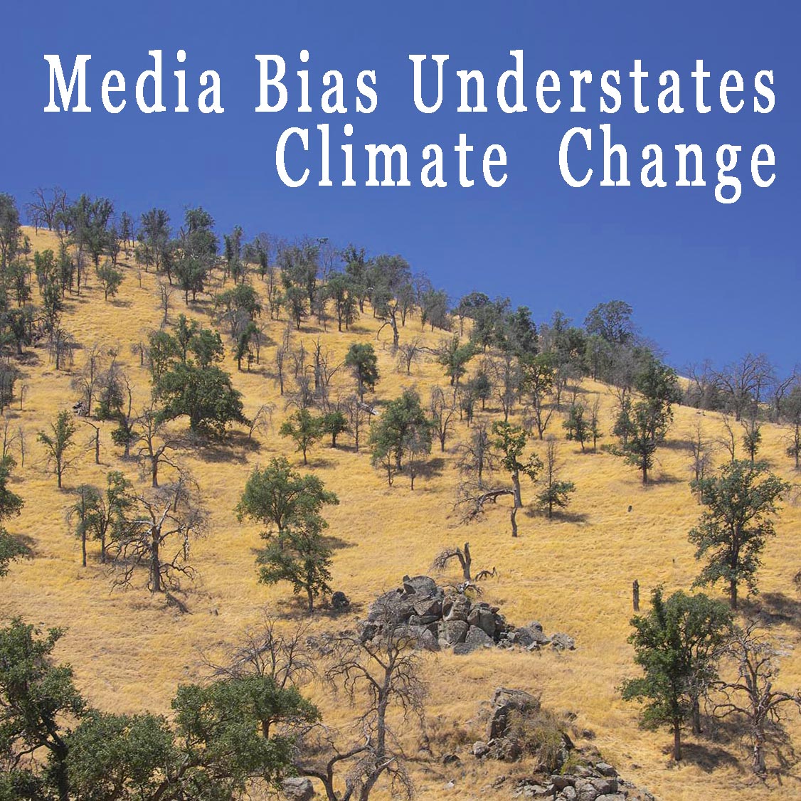 New Media Bias: Climate Change Contrarians Preferred in Media, Shaping Policy AND Science