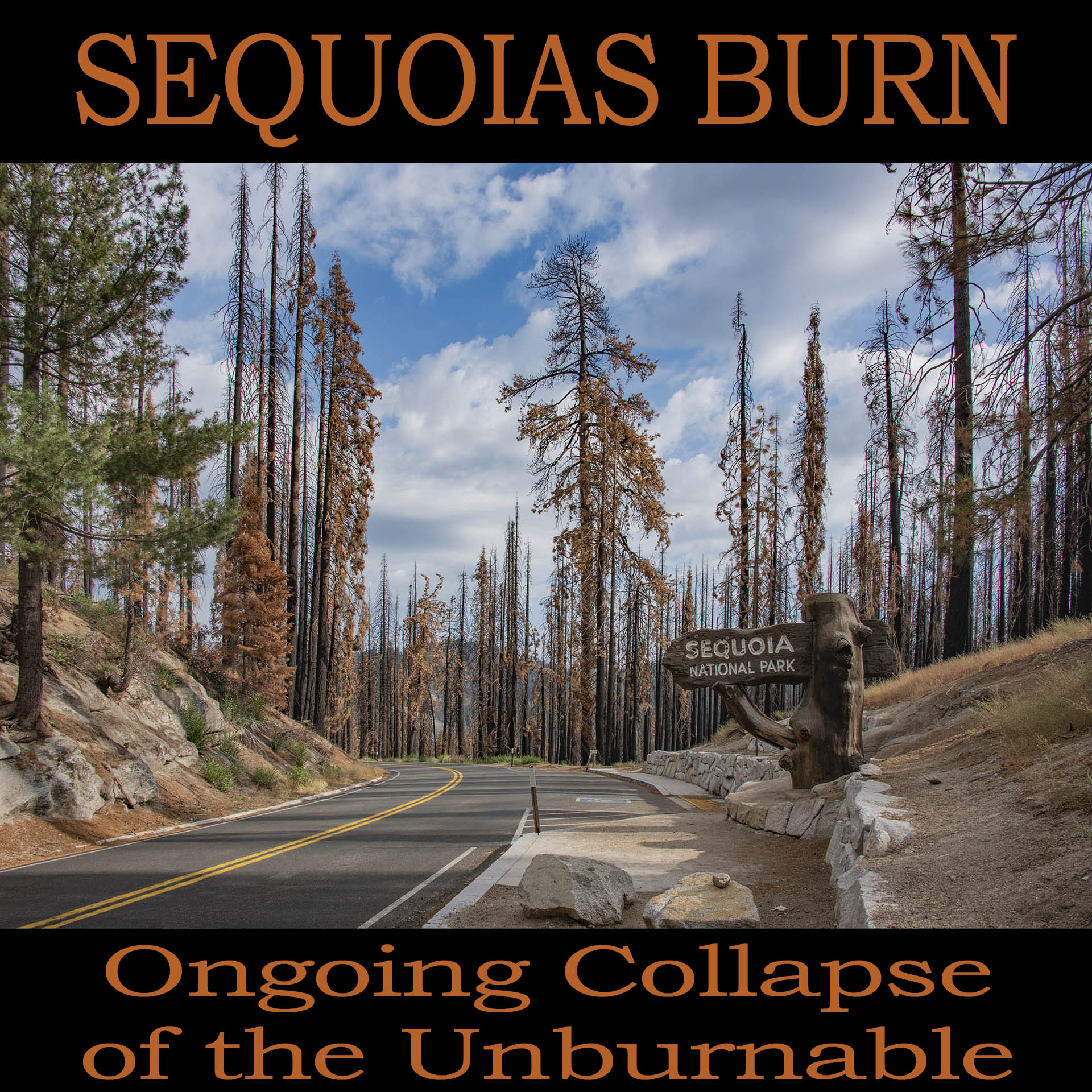 Sequoias Burn: Ongoing Collapse of the Unburnable