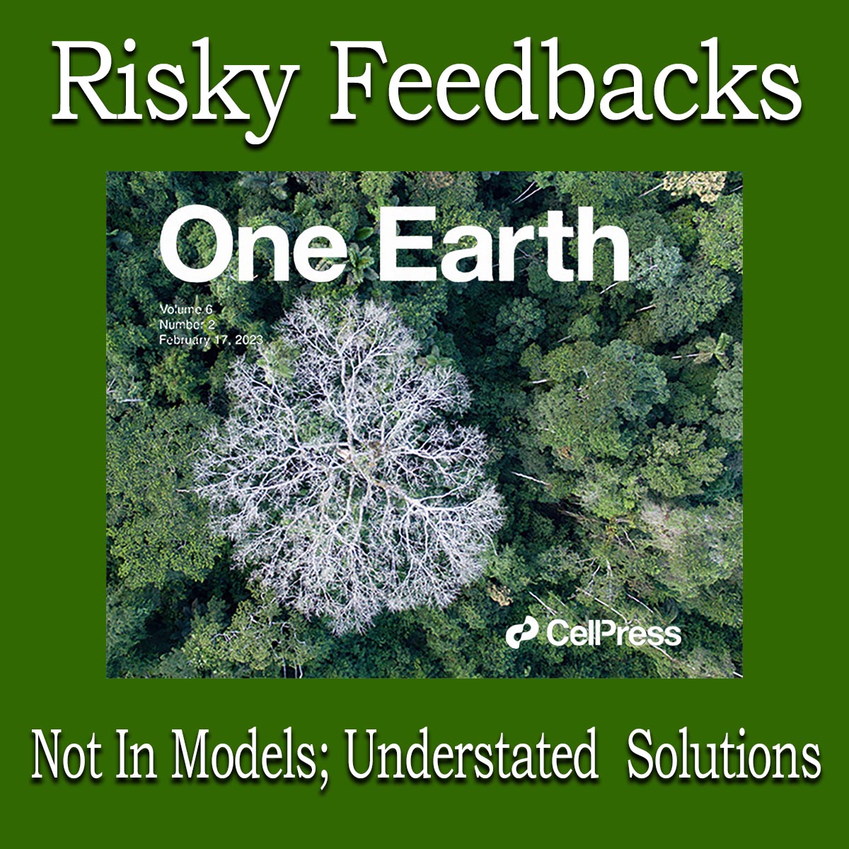 Risky Feedbacks – Not In Models; Understated Solutions