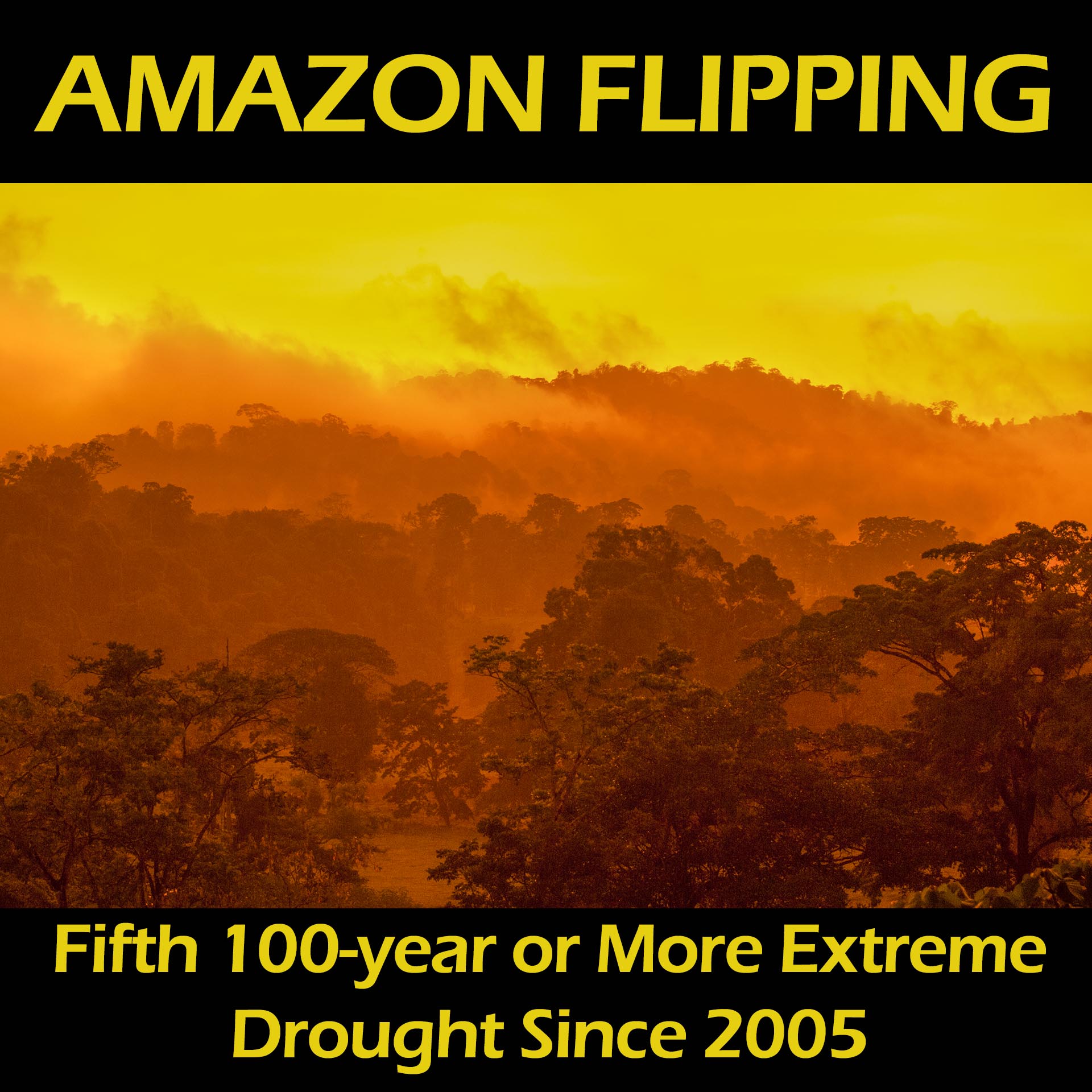 Worst Drought Ever in the Amazon, Caused By Climate Change
