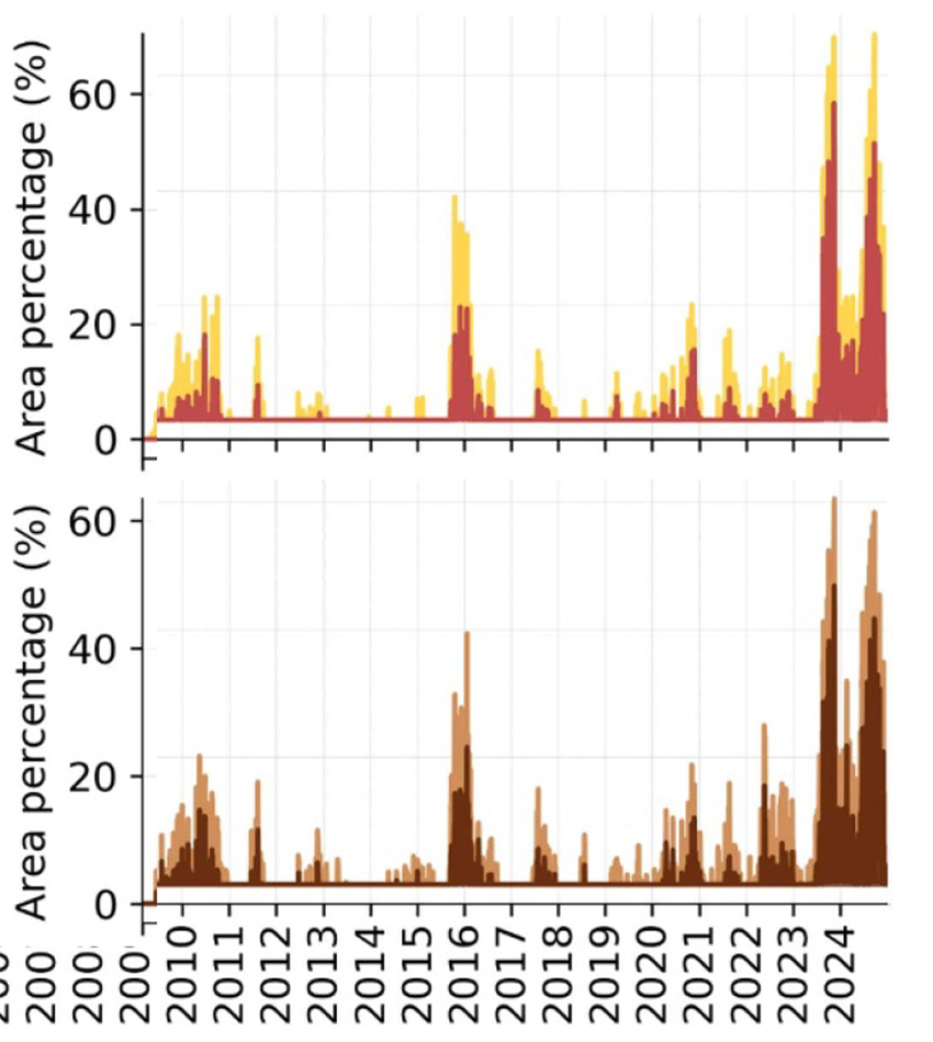 The Amazon – On the Path to Collapse