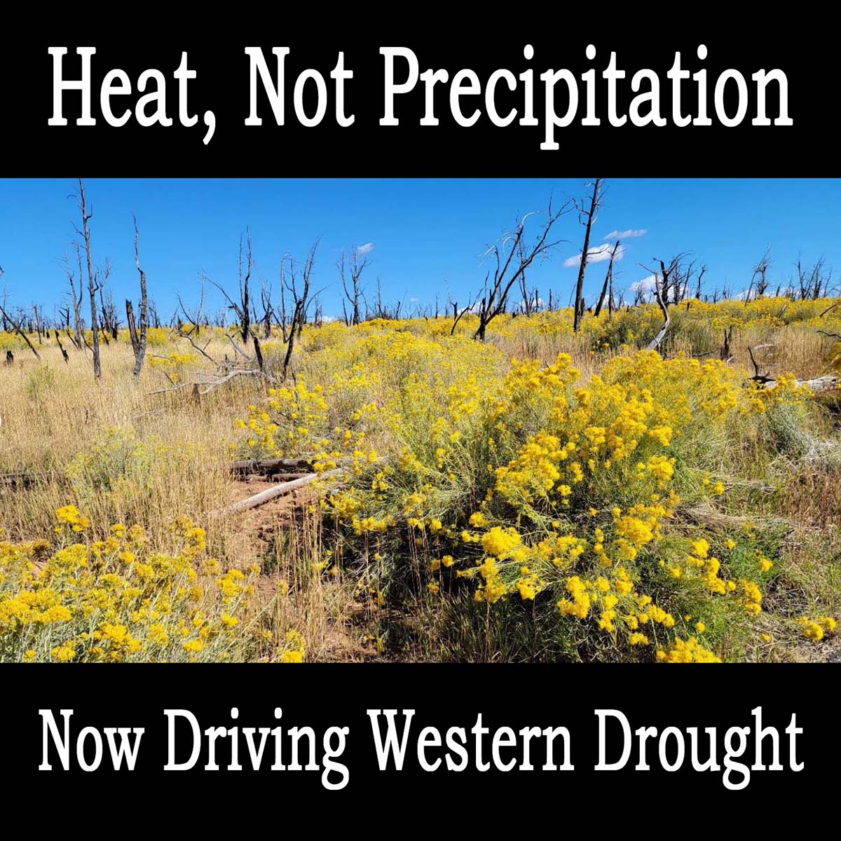 Drought Now Driven by Heat, Not Lack of Precipitation